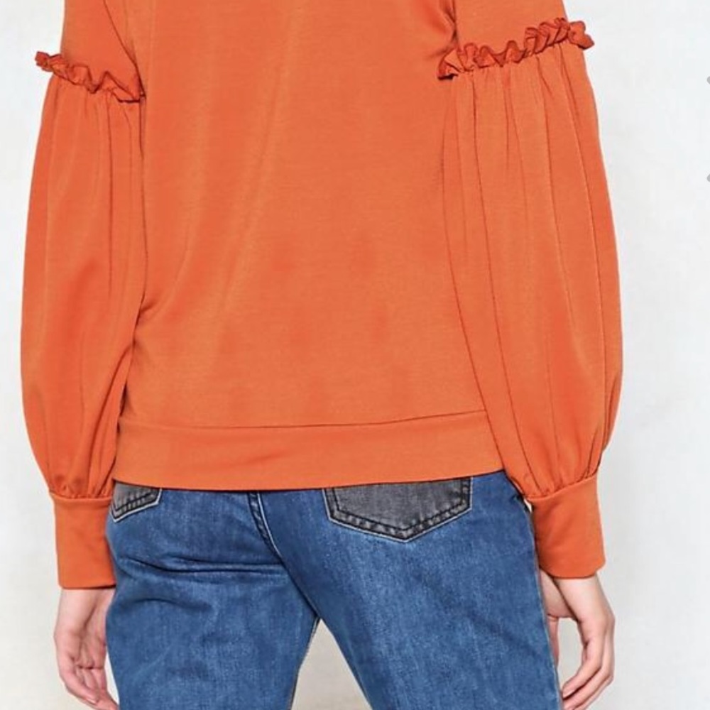 ✂️ Rust Crew Neck with Ruffle Detail Top - Picture 3 of 3